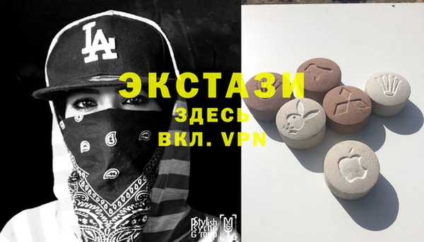гидра Арсеньев