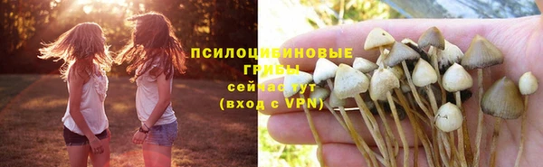 гидра Арсеньев