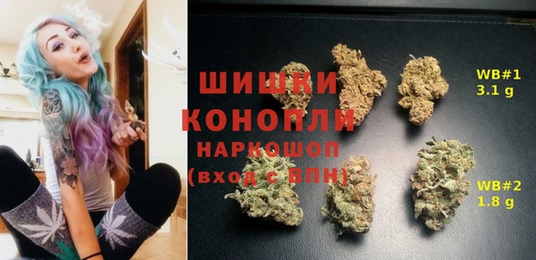 гидра Арсеньев
