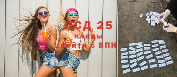 гидра Арсеньев